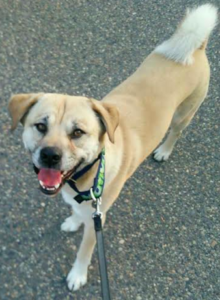 スクリーンショット 2014-07-26 10.35.06