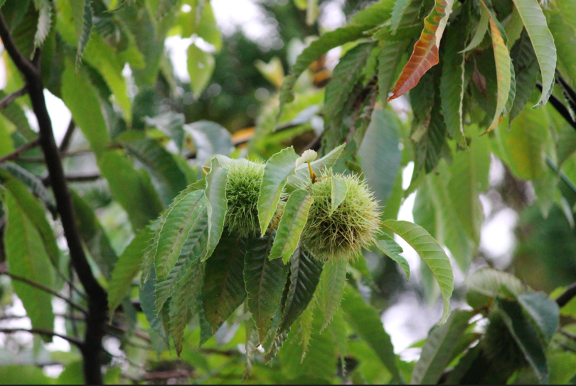 スクリーンショット 2014-10-05 18.45.28