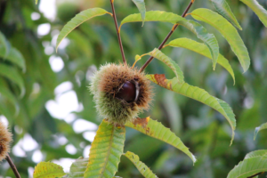 スクリーンショット 2014-10-05 18.45.41