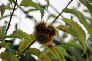 スクリーンショット 2014-10-05 18.46.00