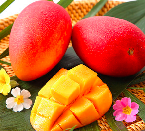 スクリーンショット 2014-11-02 23.22.28