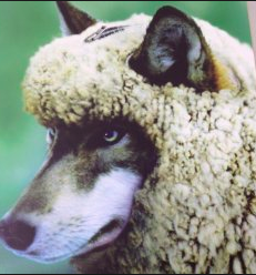 スクリーンショット 2015-01-08 20.18.53