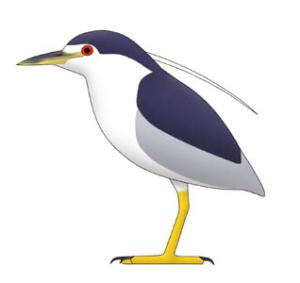 スクリーンショット 2015-06-09 0.46.02